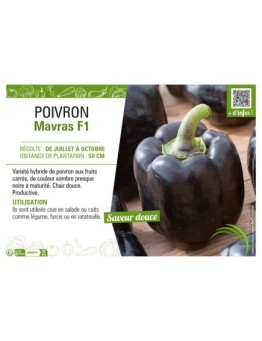 POIVRON MAVRAS F1