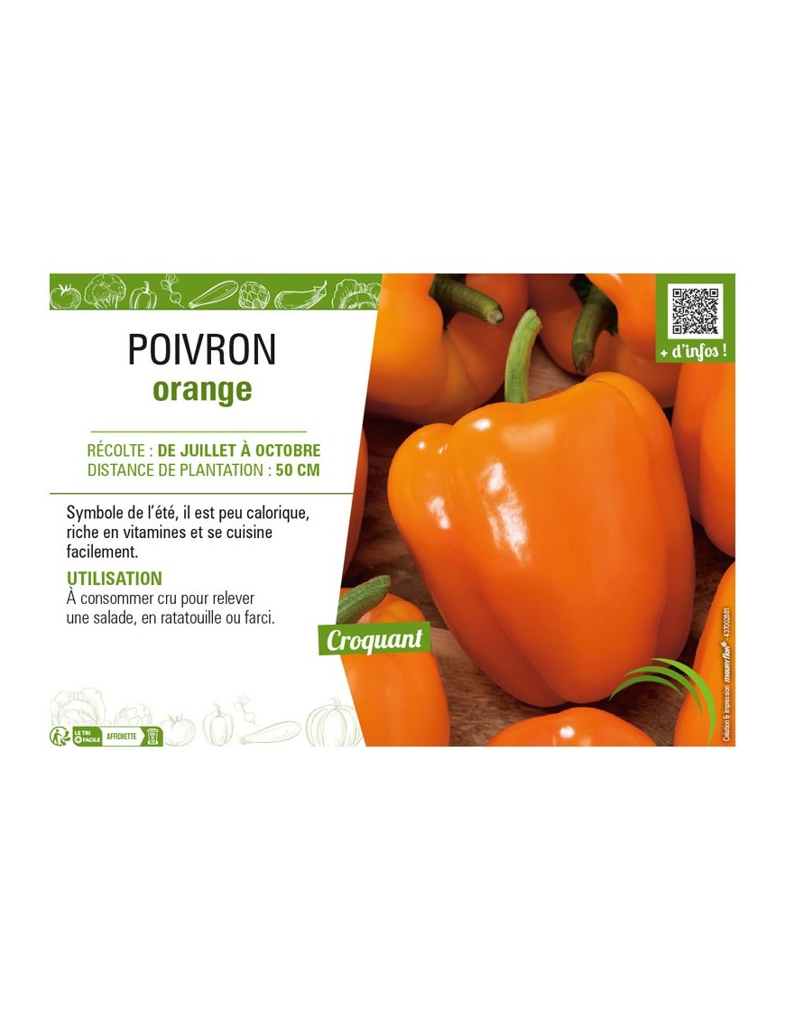 POIVRON ORANGE