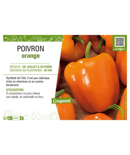 POIVRON ORANGE