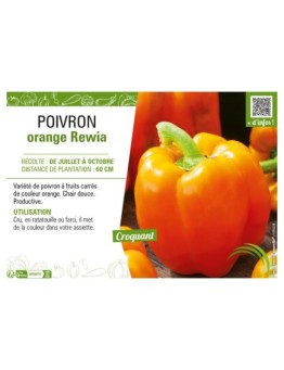 POIVRON ORANGE REWIA