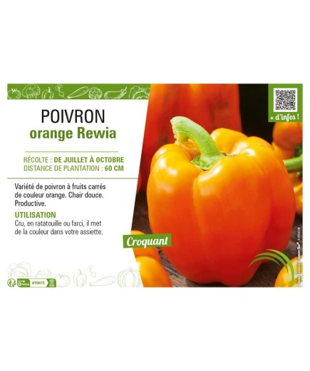 POIVRON ORANGE REWIA
