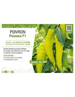 POIVRON PANAMA F1