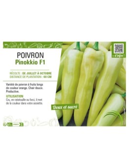 POIVRON PINOKKIO F1