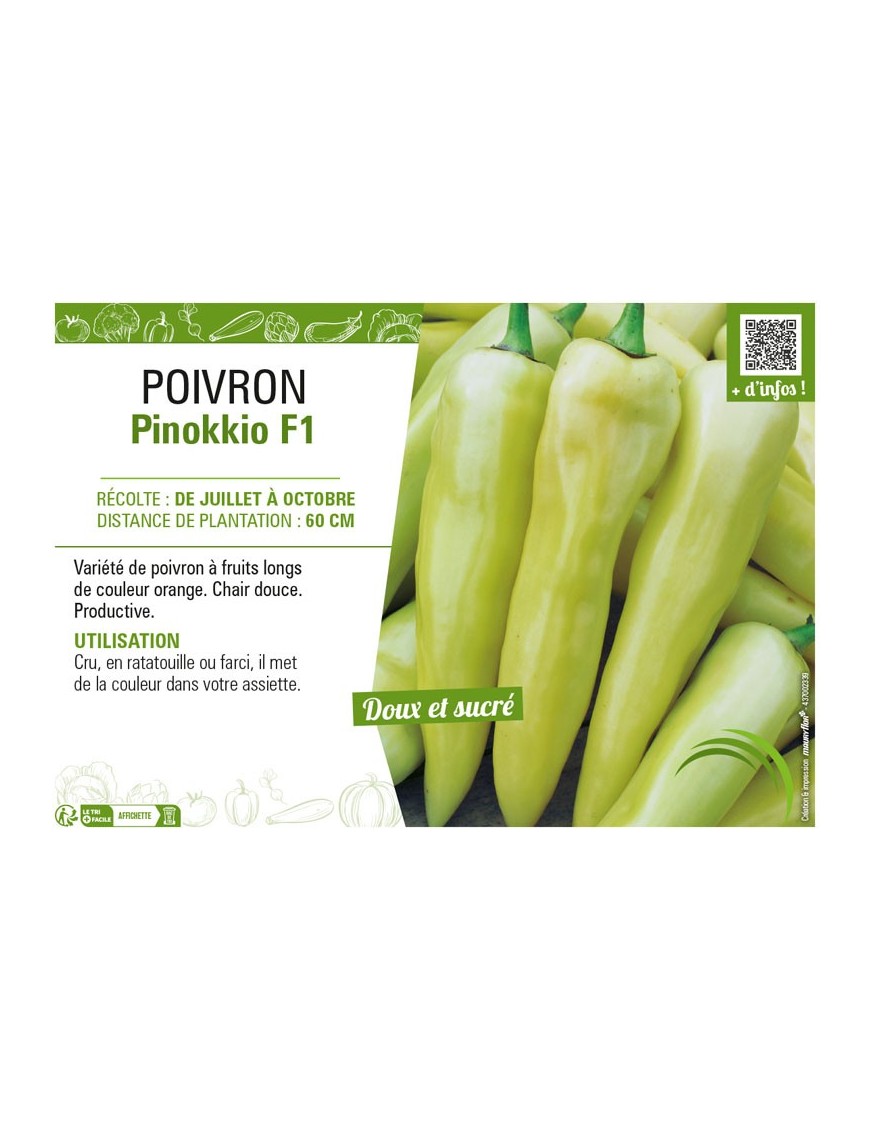 POIVRON PINOKKIO F1