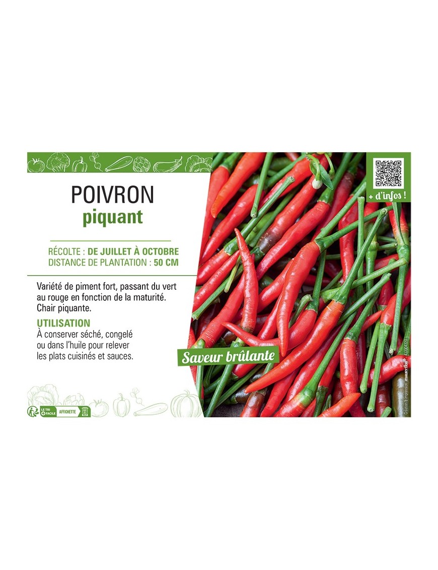 POIVRON PIQUANT