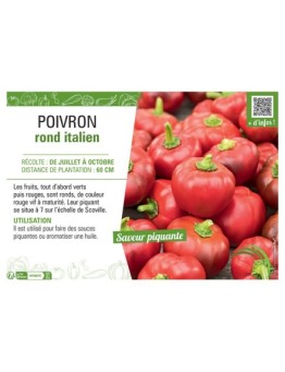 Poivron rond italien
