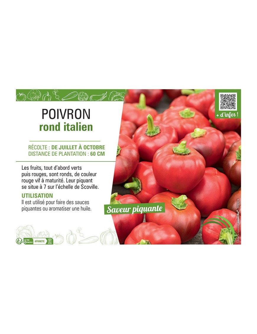 Poivron rond italien