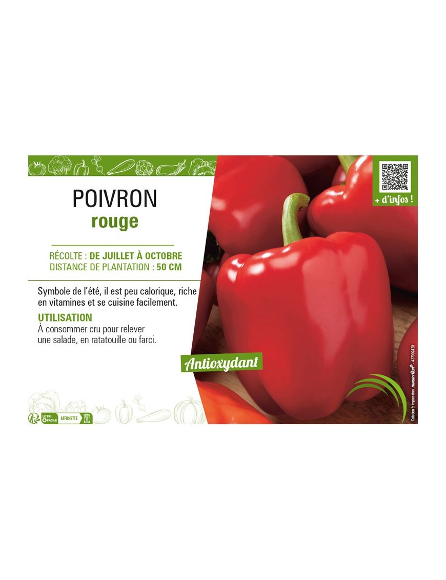 POIVRON ROUGE