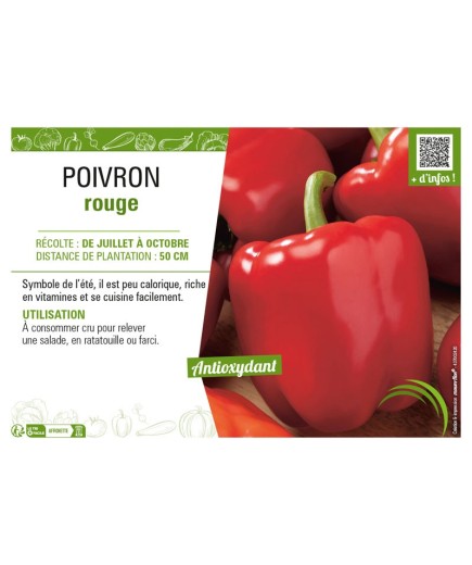 POIVRON ROUGE