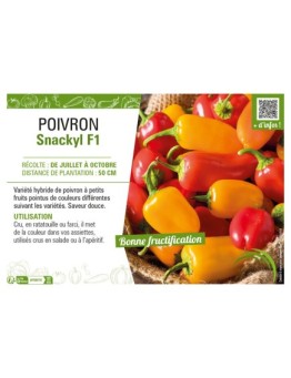 POIVRON SNACKYL F1