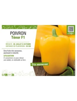 POIVRON TÉNOR F1