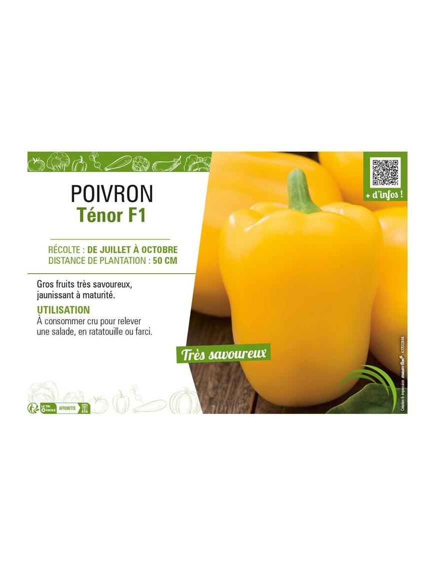 POIVRON TÉNOR F1