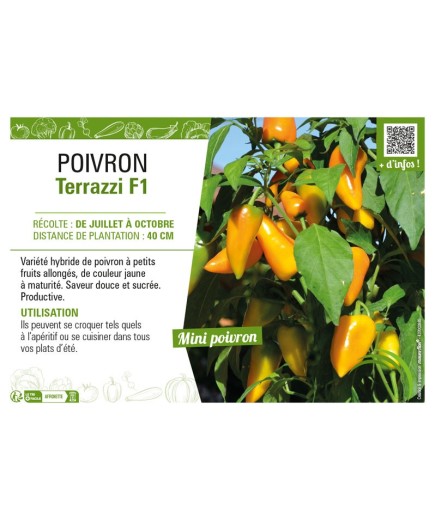 POIVRON TERRAZZI F1