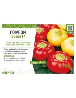POIVRON TOPEPO F1 (ROND)