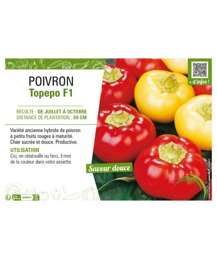 POIVRON TOPEPO F1 (ROND)