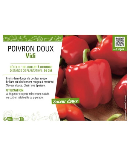 POIVTON doux Vidi