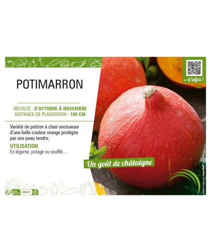 POTIMARRON
