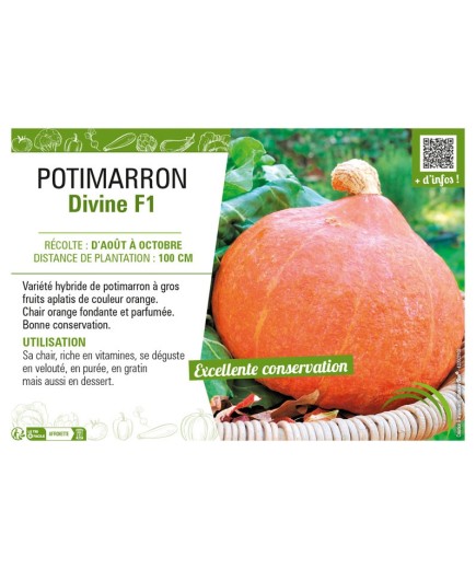 POTIMARRON DIVINE F1