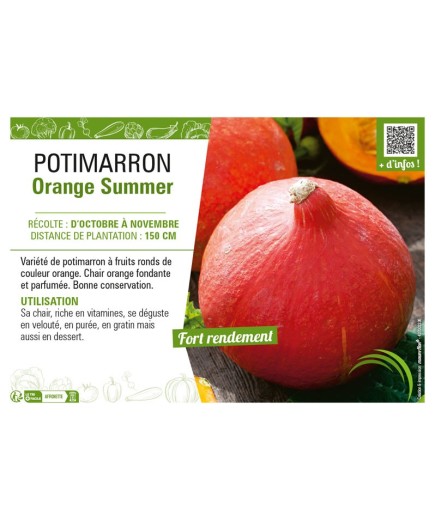 POTIMARRON ORANGE SUMMER