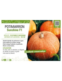 POTIMARRON SUNSHINE F1