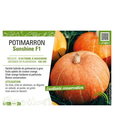 POTIMARRON SUNSHINE F1