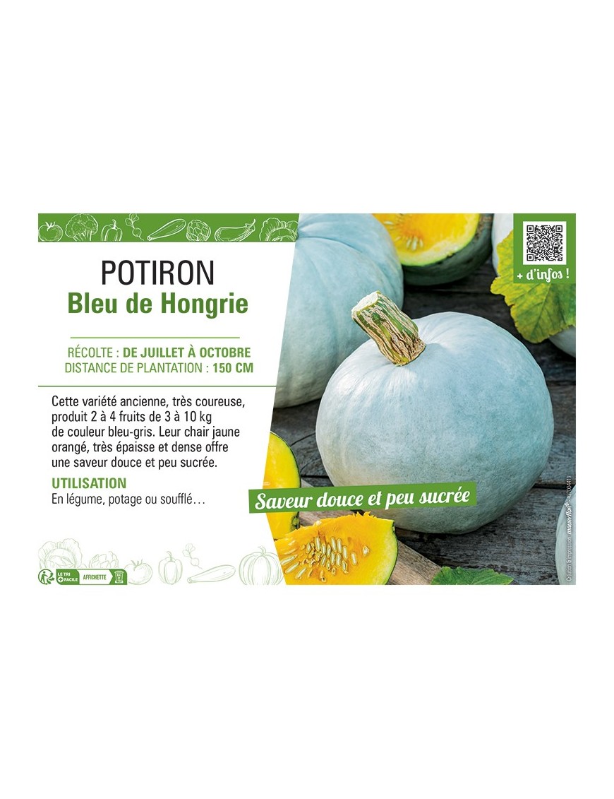 POTIRON BLEU DE HONGRIE