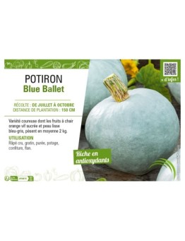 POTIRON BLUE BALLET