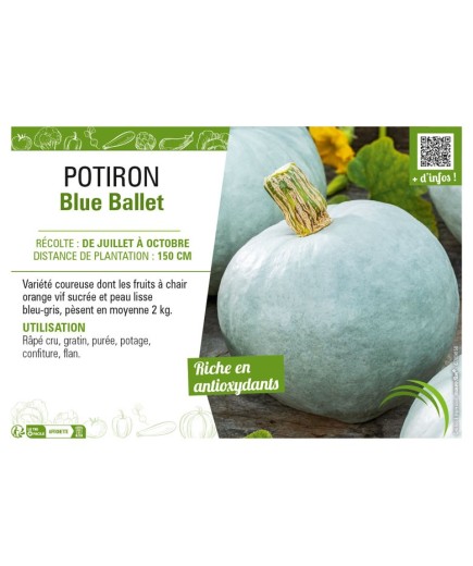 POTIRON BLUE BALLET