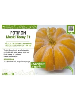 POTIRON MUSKI TEENY F1