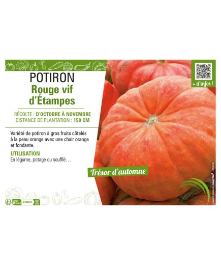 POTIRON ROUGE VIF D'ÉTAMPES