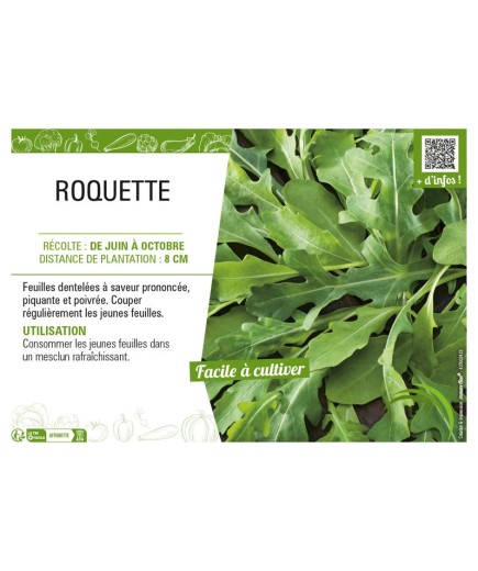 ROQUETTE