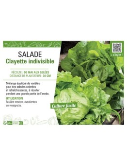 SALADE CLAYETTE INDIVISIBLE