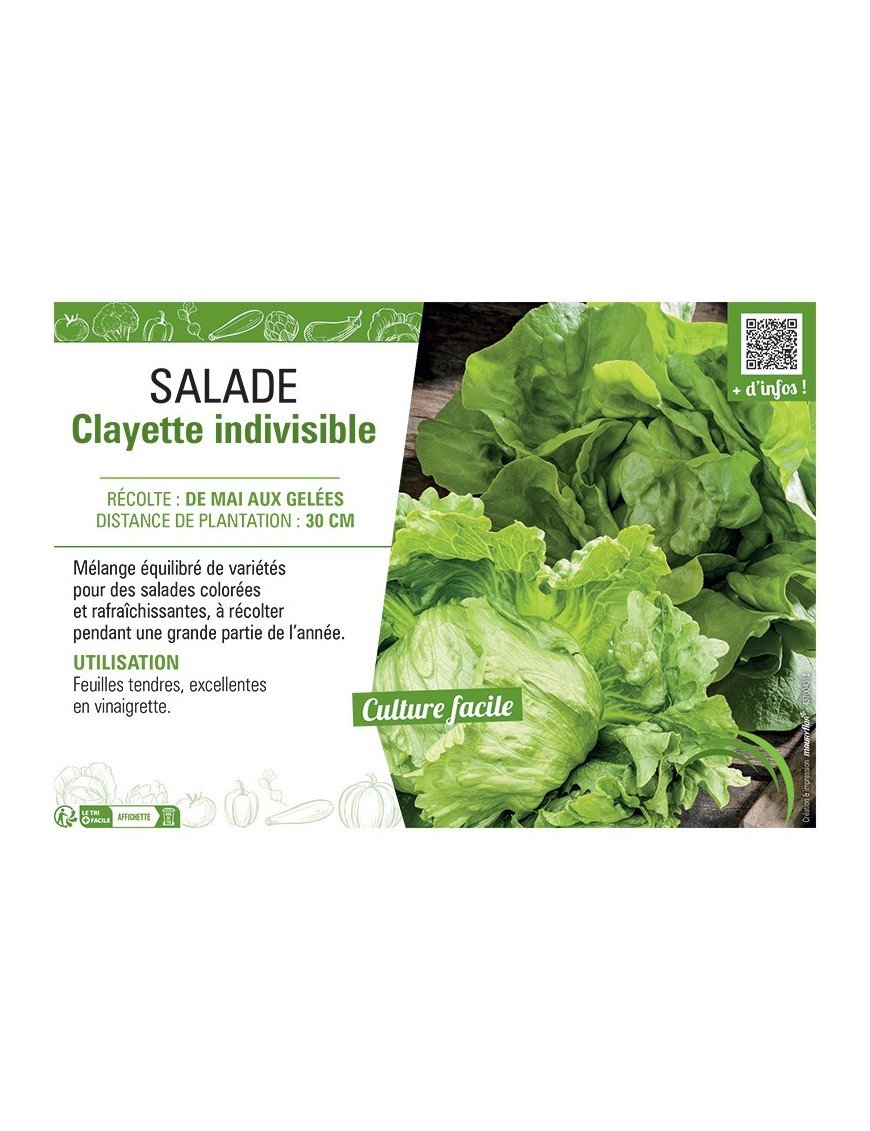 SALADE CLAYETTE INDIVISIBLE