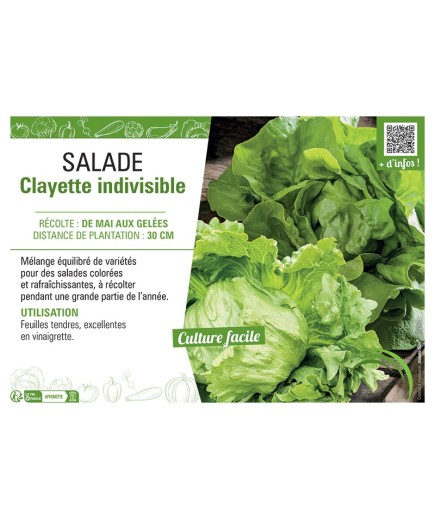 SALADE CLAYETTE INDIVISIBLE