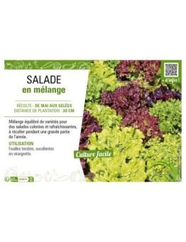 SALADE EN MÉLANGE