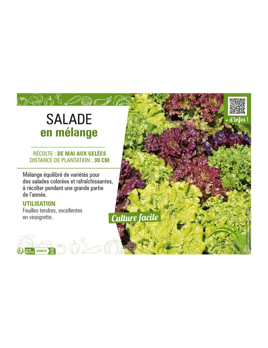 SALADE EN MÉLANGE