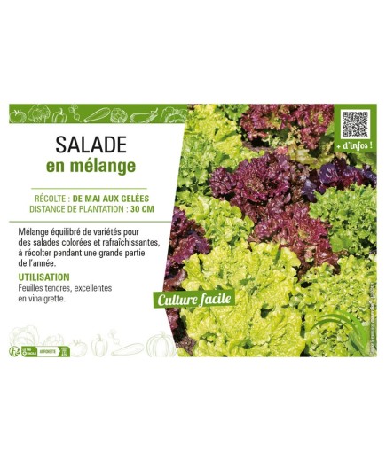 SALADE EN MÉLANGE