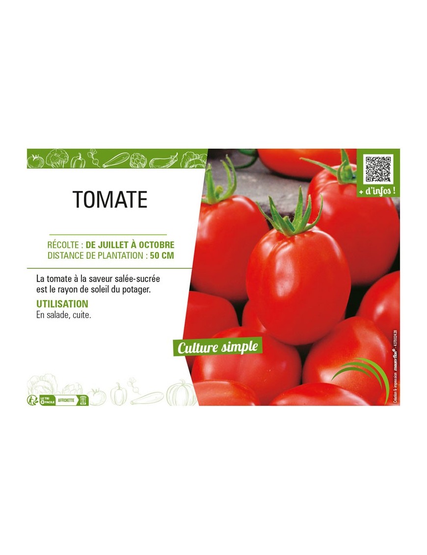 TOMATE