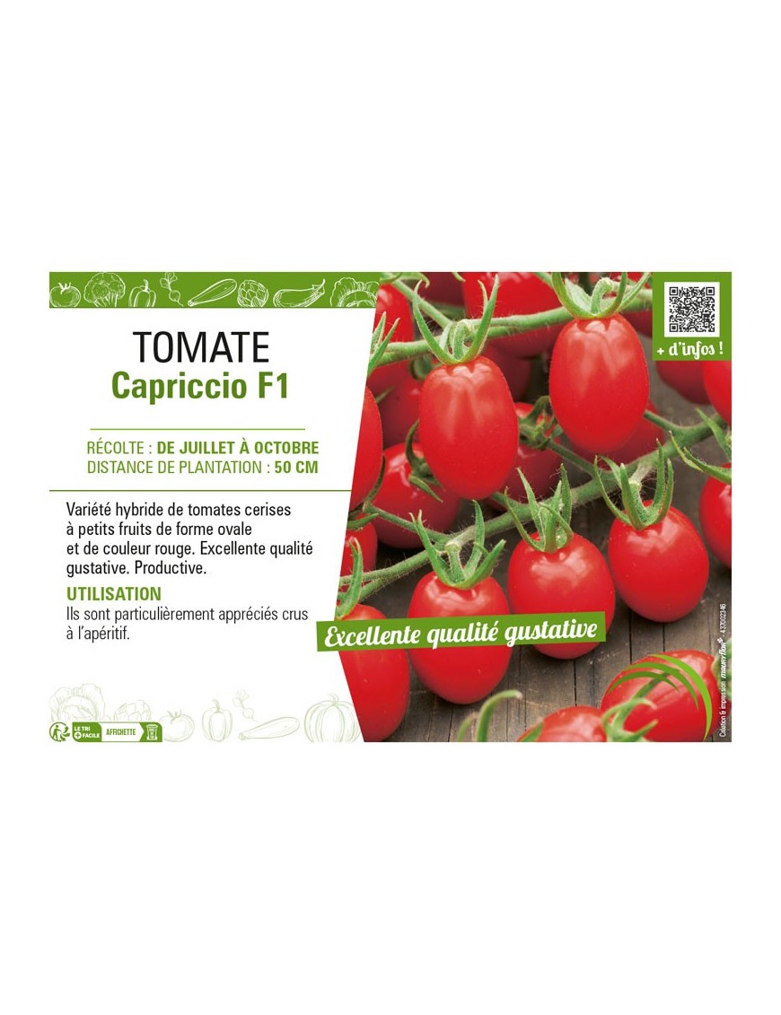 TOMATE (CERISE) CAPRICCIO F1