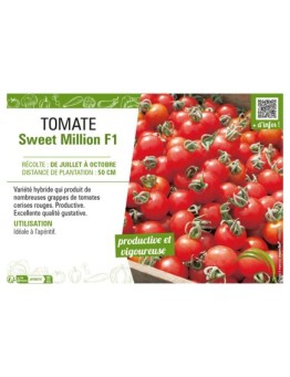 TOMATE (CERISE) SWEET MILLION F1
