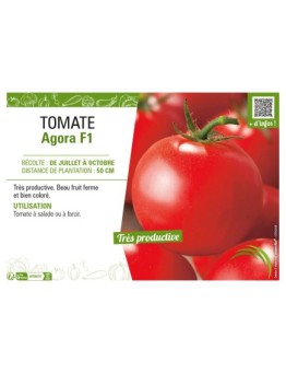 TOMATE AGORA F1