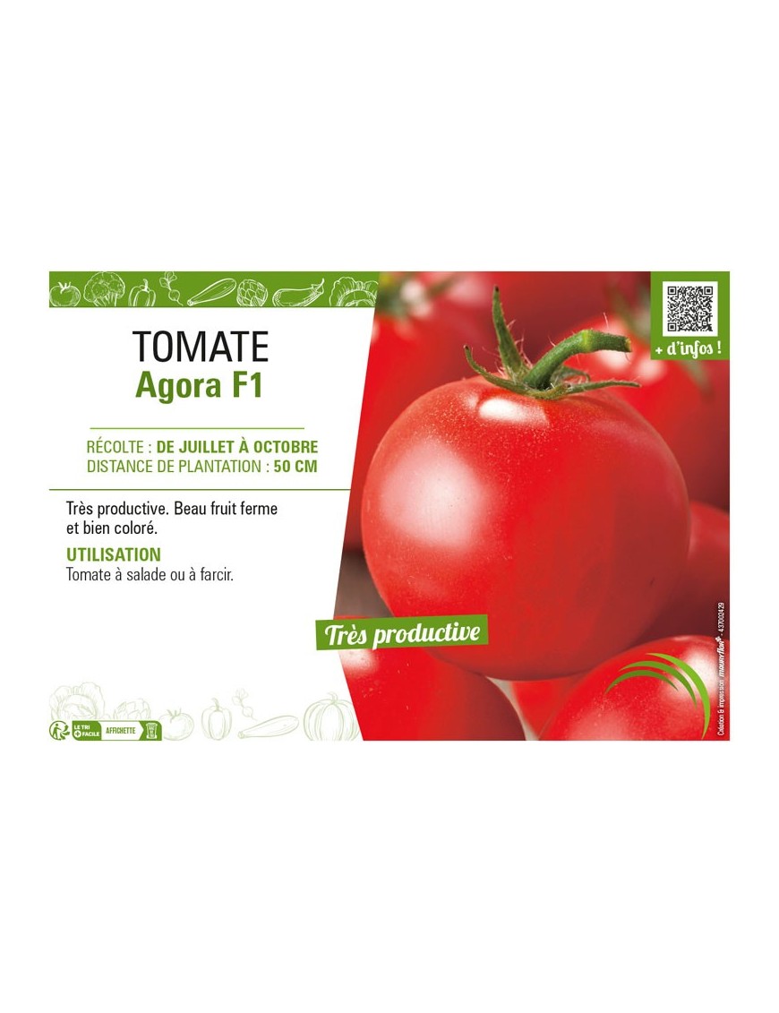 TOMATE AGORA F1