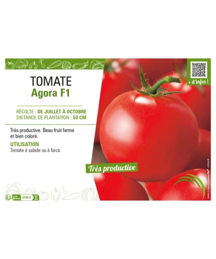 TOMATE AGORA F1