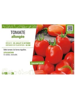 TOMATE ALLONGÉE