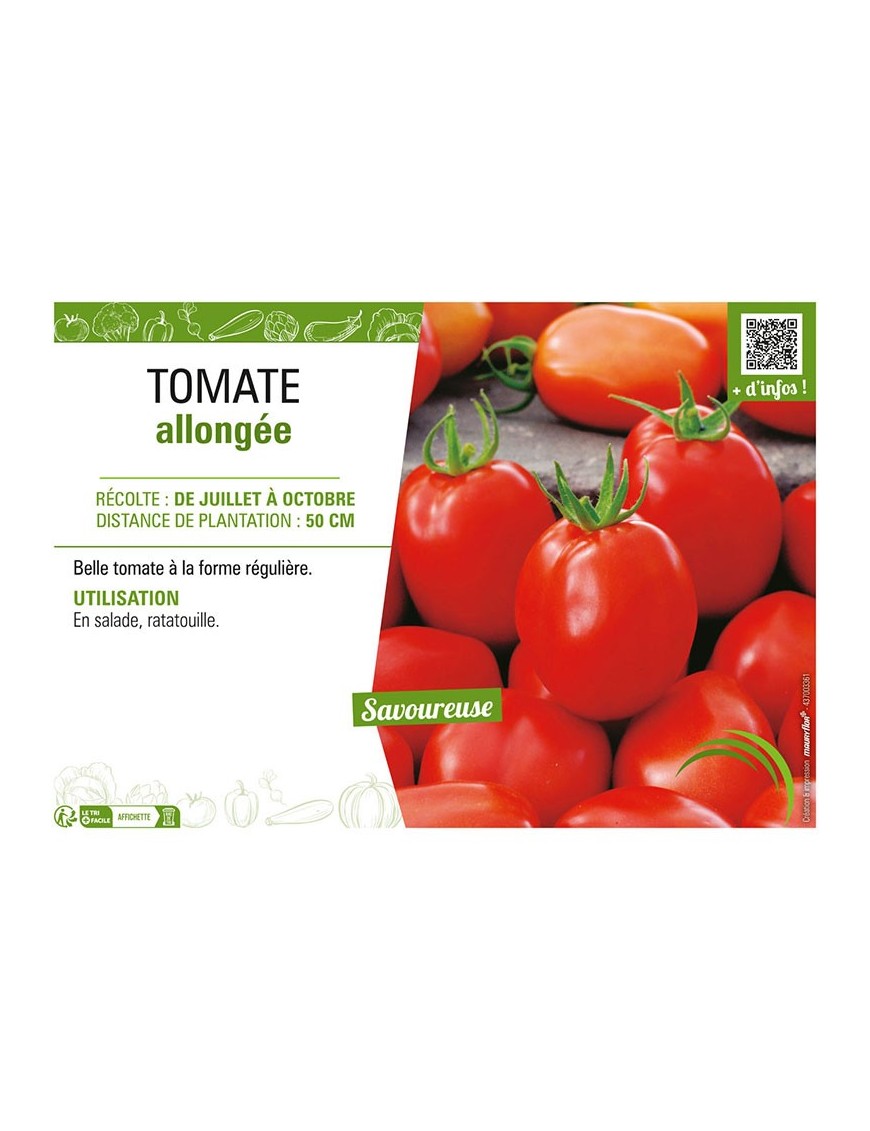 TOMATE ALLONGÉE
