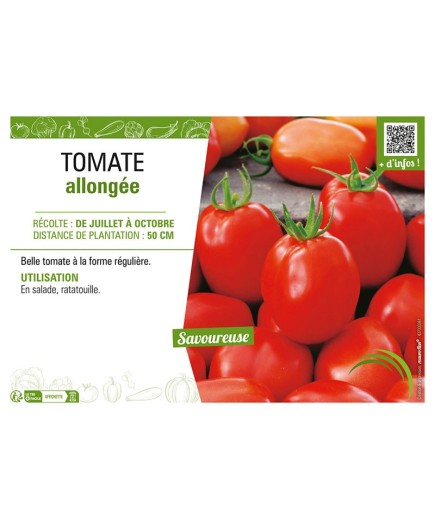 TOMATE ALLONGÉE