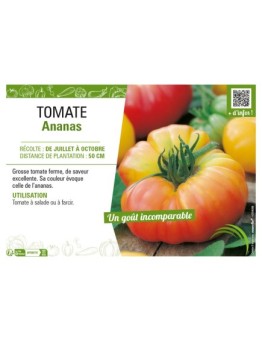 TOMATE ANANAS
