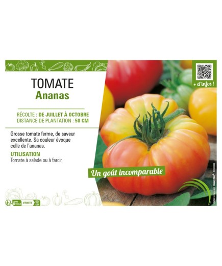TOMATE ANANAS