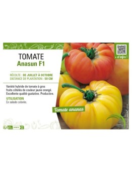 TOMATE ANASUN F1