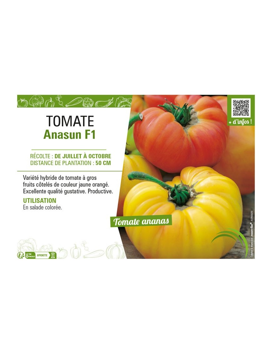 TOMATE ANASUN F1